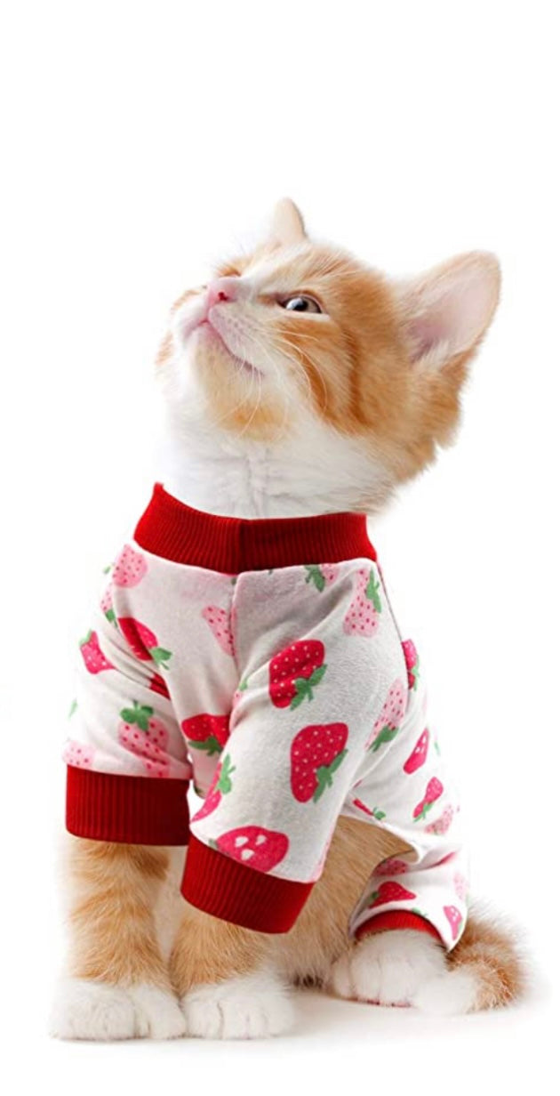 Berry Cute: Anti-Shed Cat Onesie